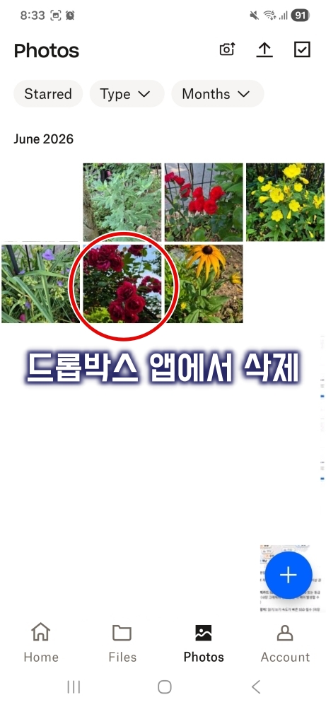 드롭박스 앱 사진 삭제