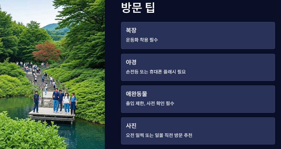 방문시 유의사항과 팁