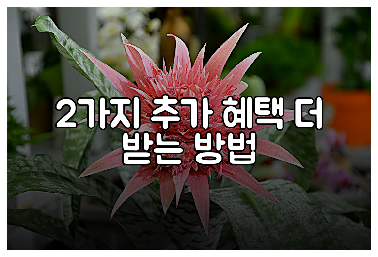2가지 추가 혜택 더 받는 방법