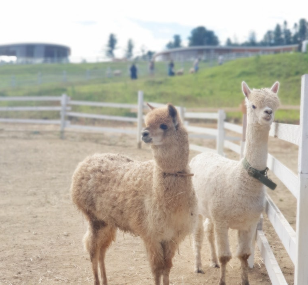 가평 가볼만한곳 베스트10