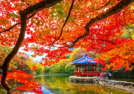 봄·가을 단풍 명소: 내장산 국립공원