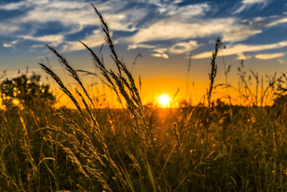 직불금 신청자격