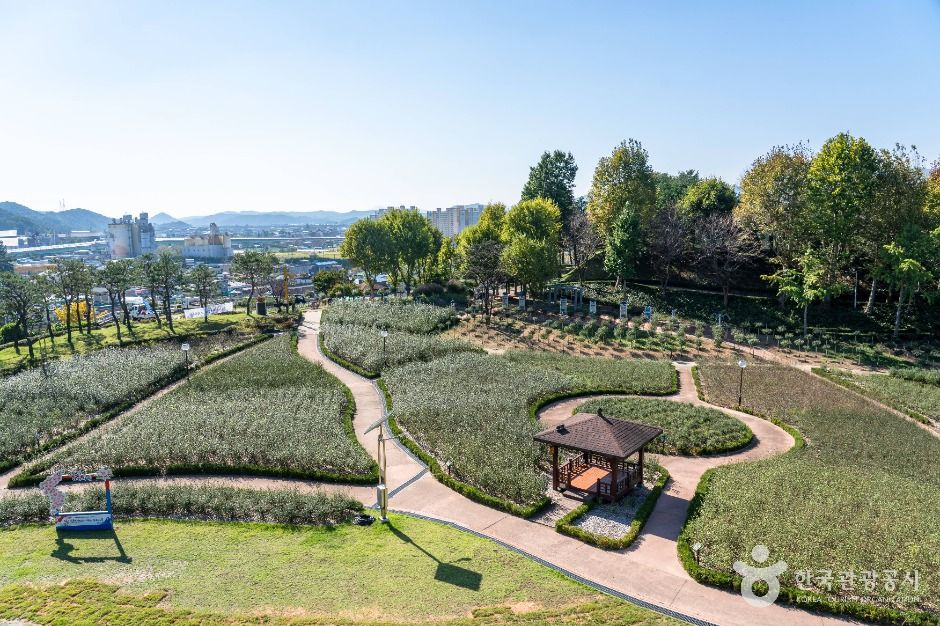 장성 가볼만한곳 베스트 10