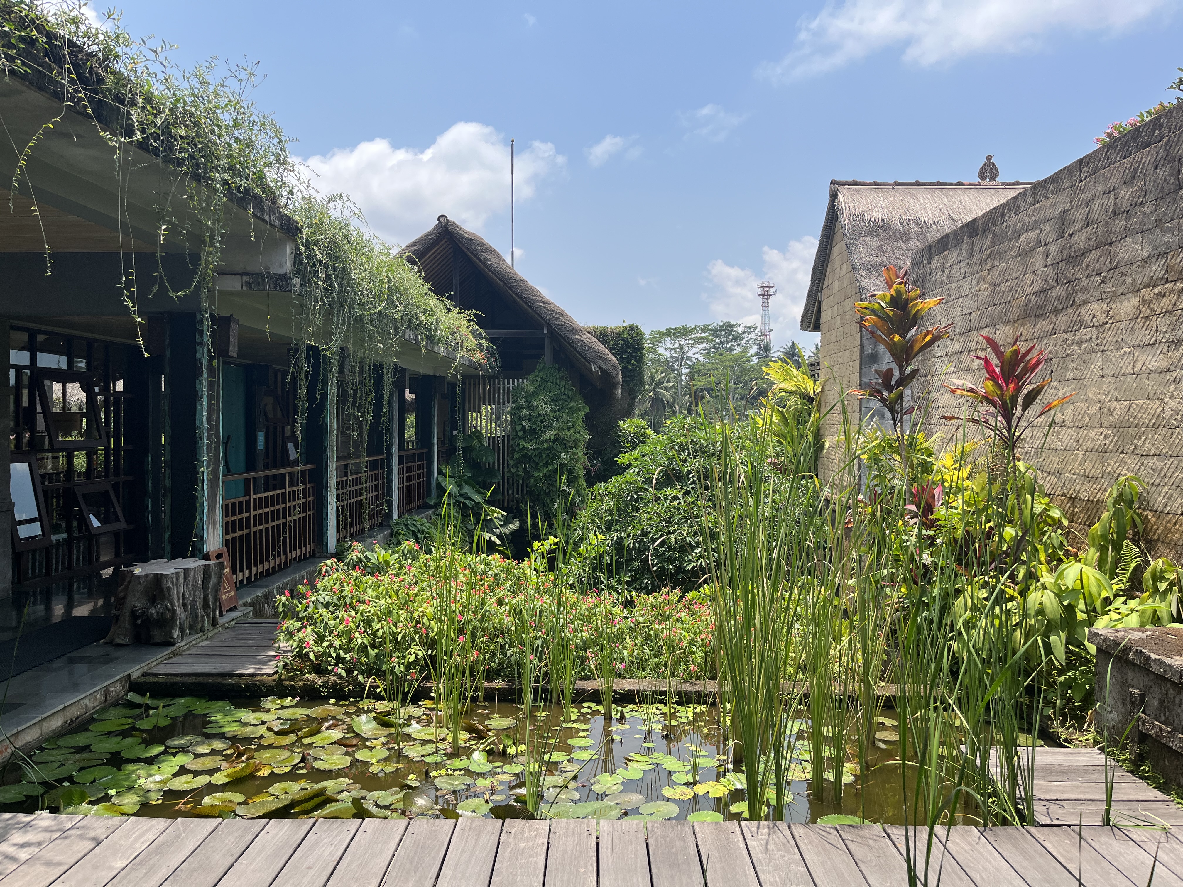 테자프라나 정원