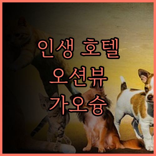 In Young Hotel 솔직 후기