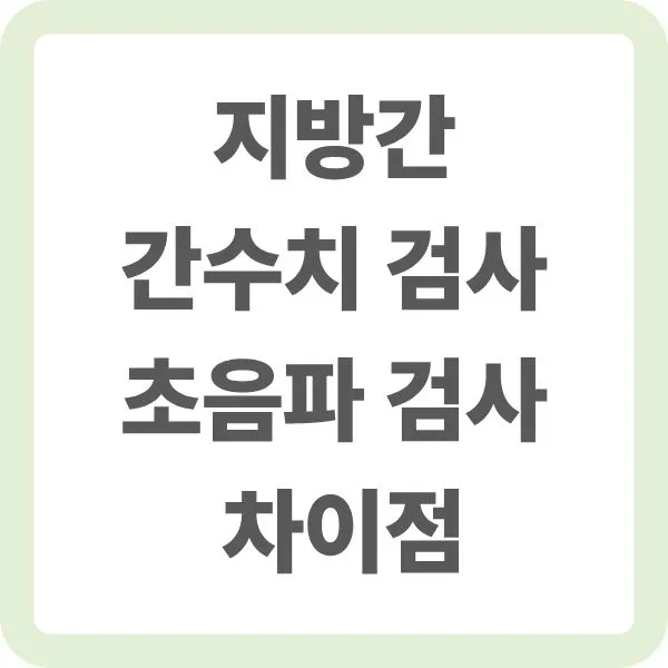 지방간, 간수치 검사, 초음파 검사 차이점을 설명하는 텍스트 이미지