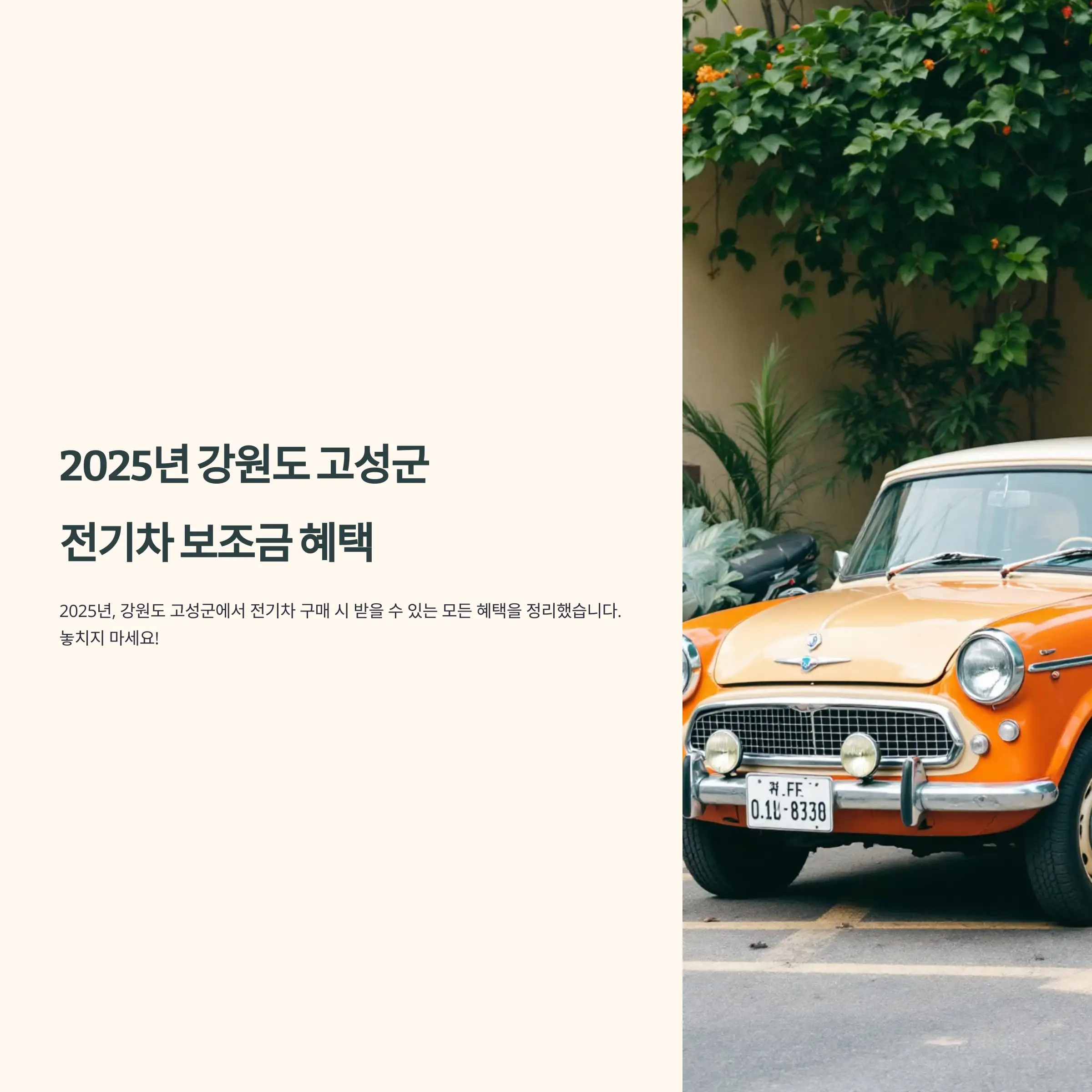 2025년 강원도 고성군 전기차 보조금 