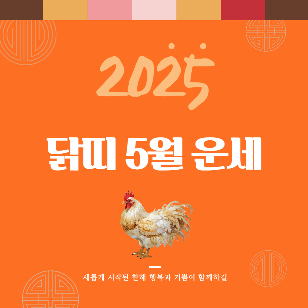 2025년 을사년 『닭띠』 5월 운세 썸네일