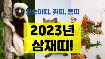 2025년 삼제띠 들삼재 눌삼재 날삼재에 대한 정보_23