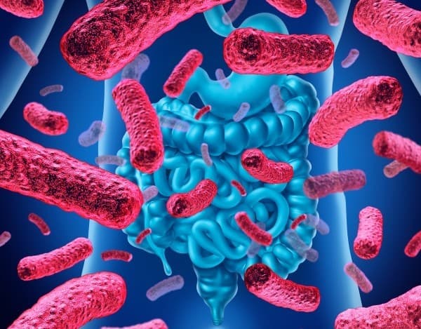 장내 미생물에 영향을 끼치는 요인과 인체에 미치는 영향