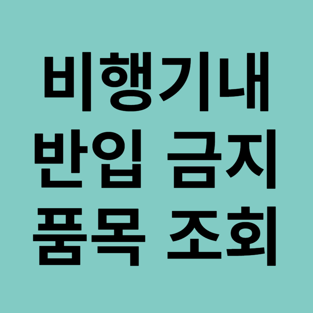 비행기내 반입 금지 품목 조회 방법