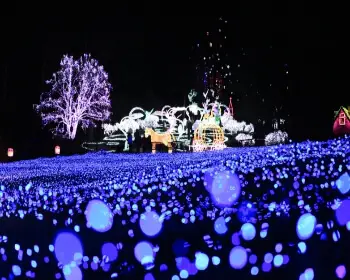 아침고요수목원 오색별빛정원전_21