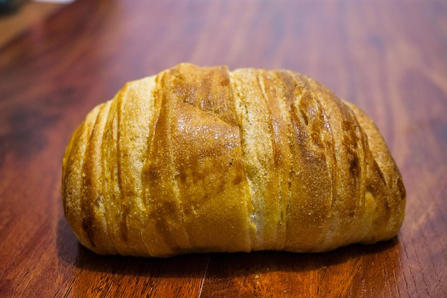 코카콜라 vs 존슨앤드존슨 비교 미국 안정형 배당주는 어떻게 다를까