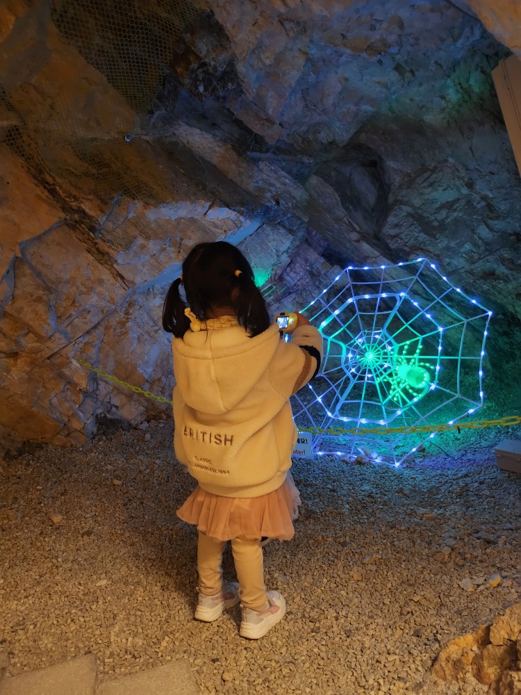 LED 전시