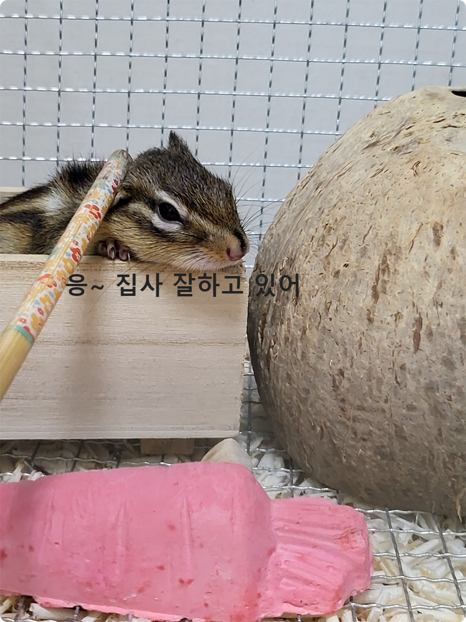응~ 잘하고 있어~