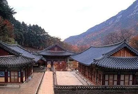 동학사