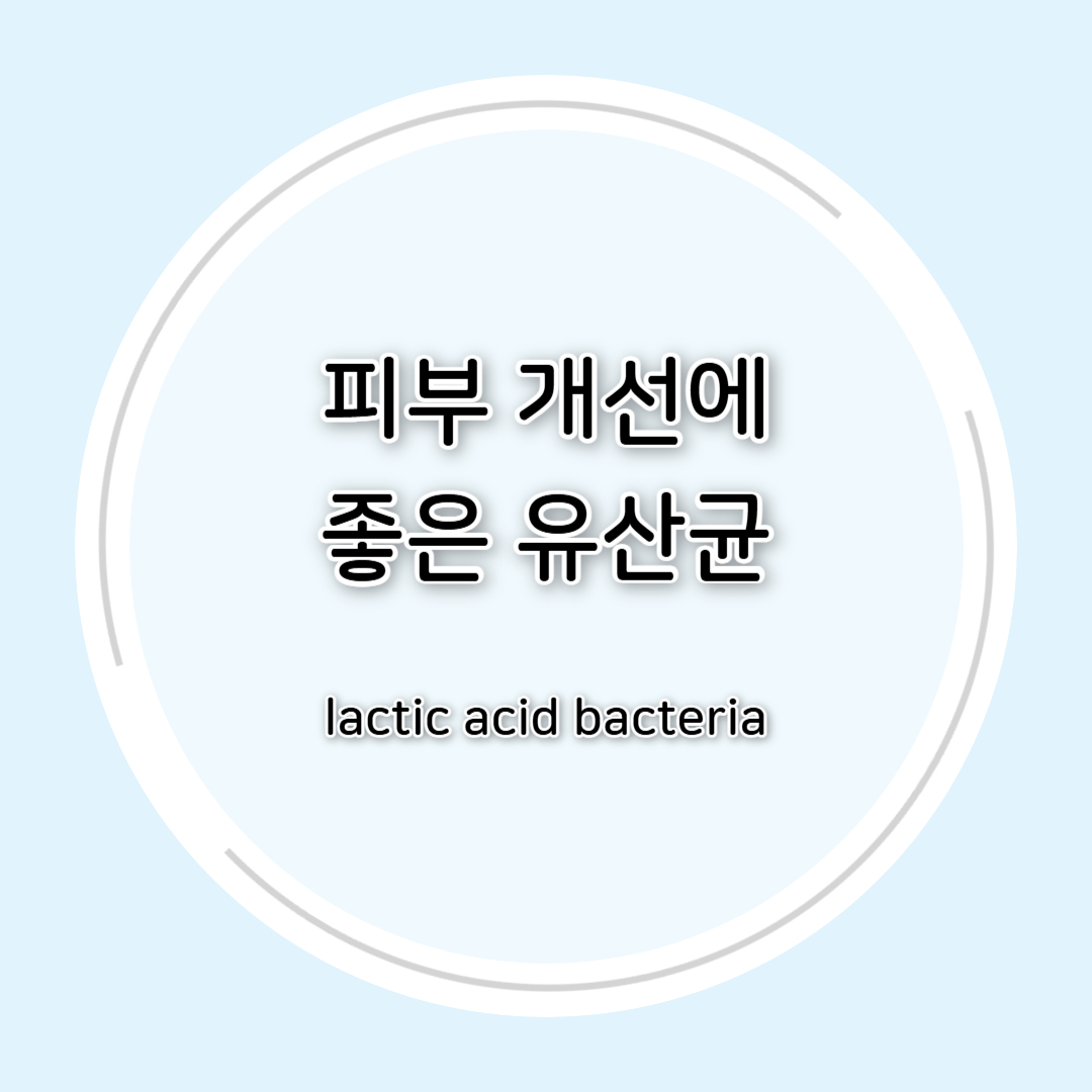 피부 개선에 좋은 유산균 총정리