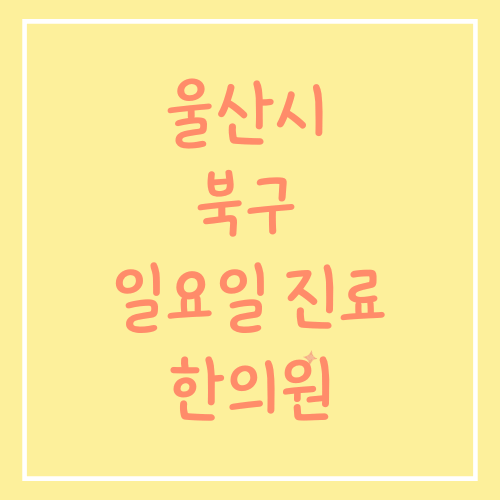 울산시 북구 일요일 진료 한의원 정보