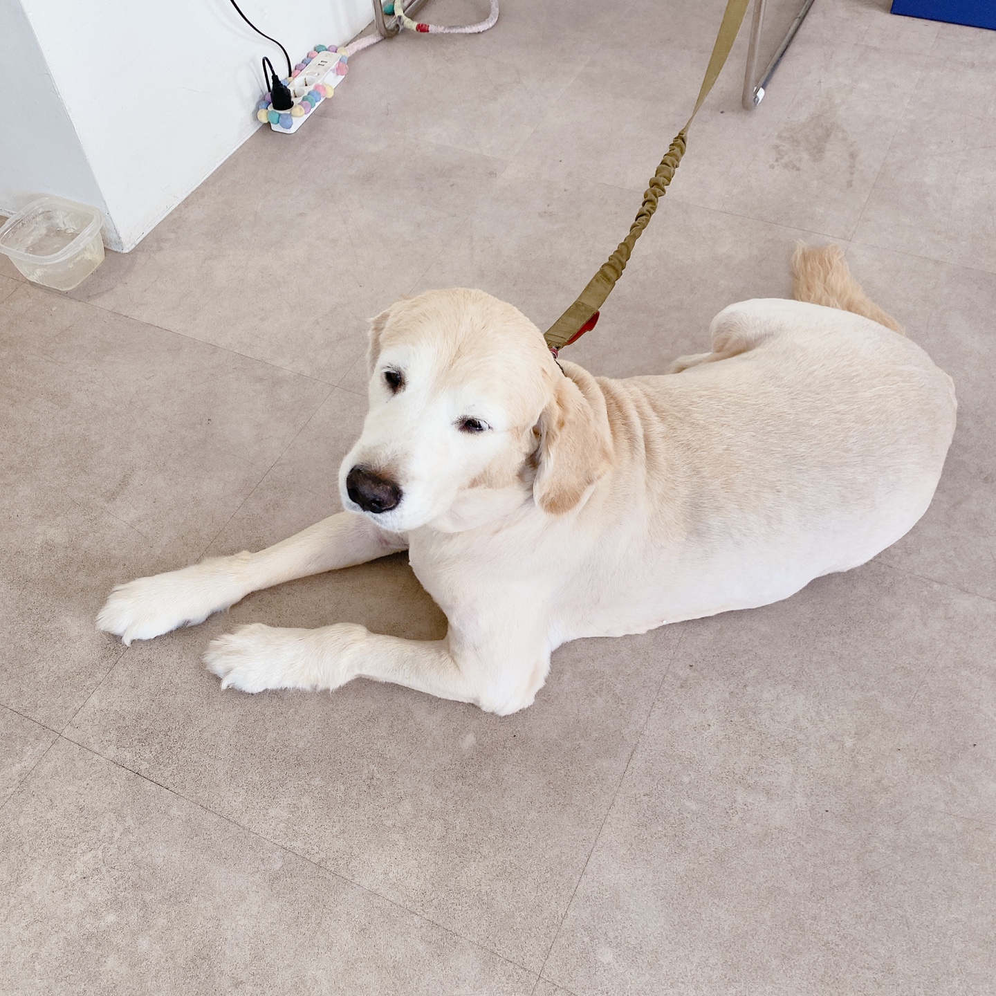 제주 정실마을 민오름 브런치 카페 마트리모니오 matrimonio