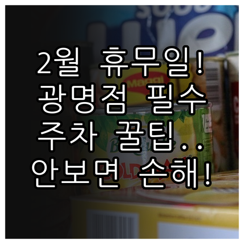 2025년 2월 코스트코 광명점 정기..