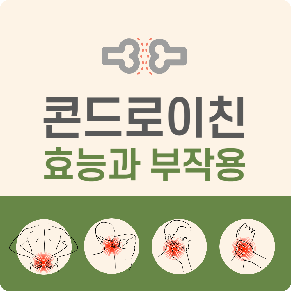 콘드로이친의 효능과 부작용, 콘드로이친 함유 음식