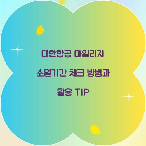 대한항공 마일리지 소멸기간