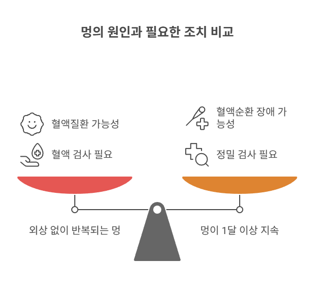 병원 진료가 필요한 멍의 경우