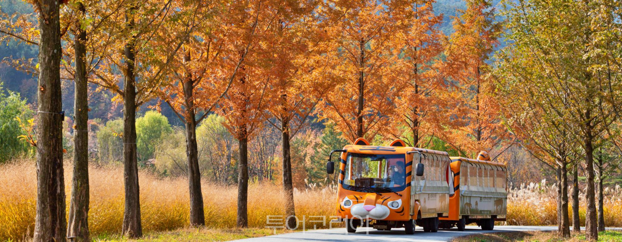 2024 가을 캠핑 준비물