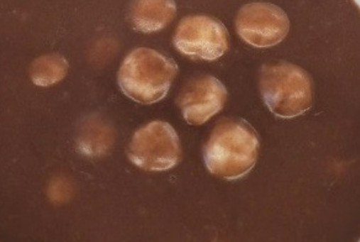 6시내고향 정읍 새알 팥죽 맛집