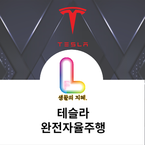 테슬라 완전자율주행