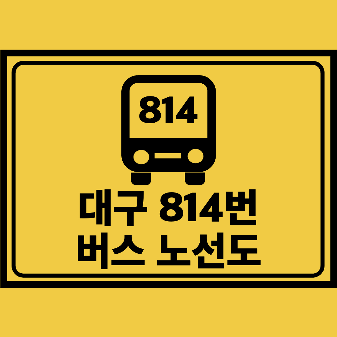 대구814번버스노선도