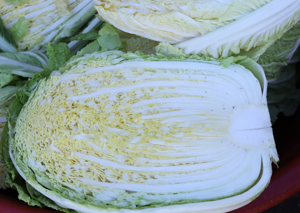 절임배추 20kg과 10kg 몇 포기 구매 바로가기