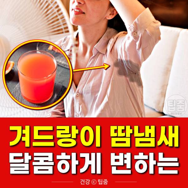 겨드랑이 땀냄새 제거 음식,팁줌