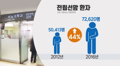 전립선암이미지