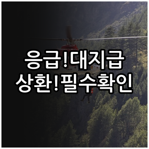 최후의 의료 안전망 2025 응급의료..