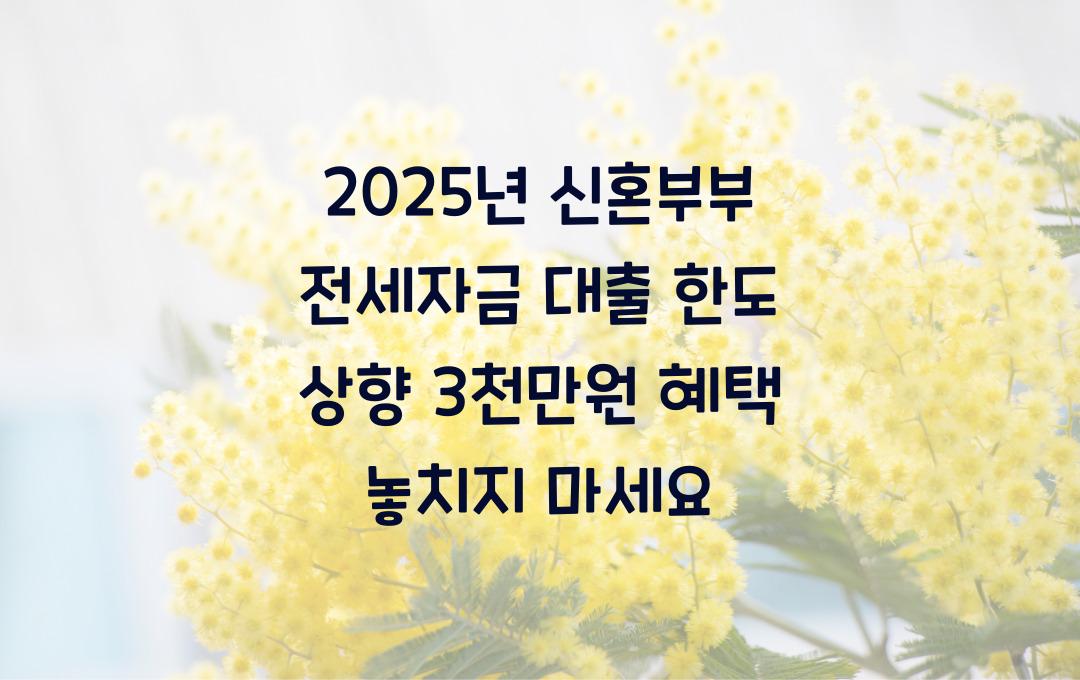 2025년 신혼부부 전세자금 대출 한도 상향! 지금 신청하면 최대 3천만원 더 받는다