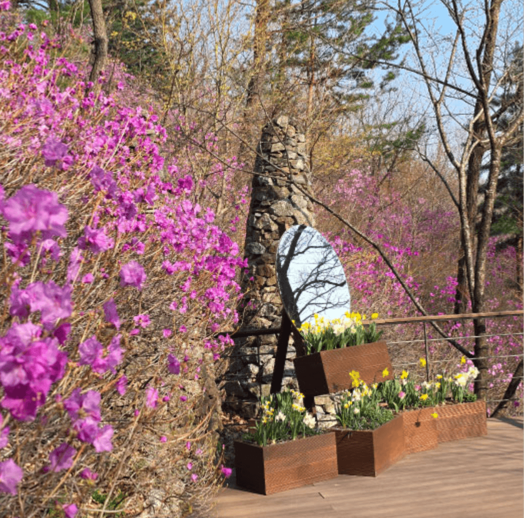 화담숲 화담채 모노레일 사전 예약&amp;#44; 할인받고 예매 하기