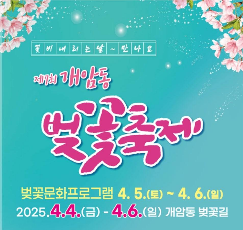 벚꽃축제