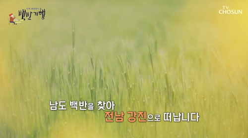 식객-허영만의-백반기행-강진편-1