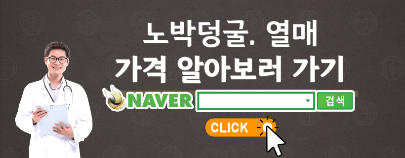 노박덩굴