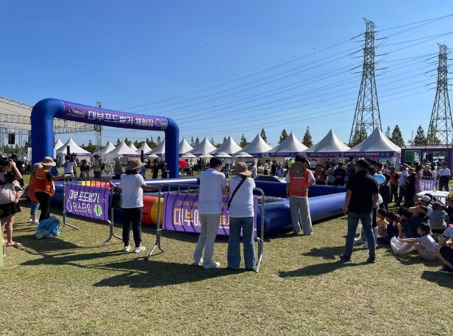 안산 대부포도축제