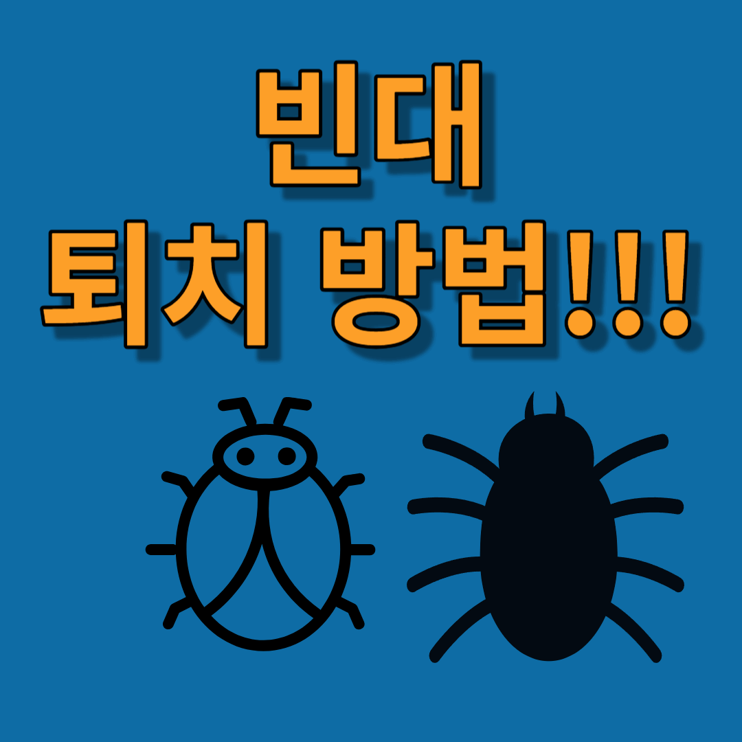 빈대 없애는 방법