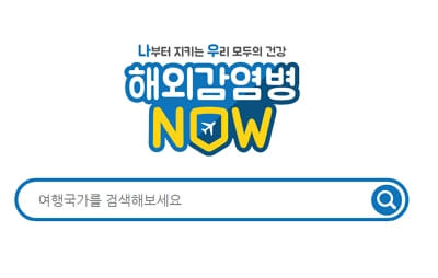 해외 감염병 예방 정보 조회