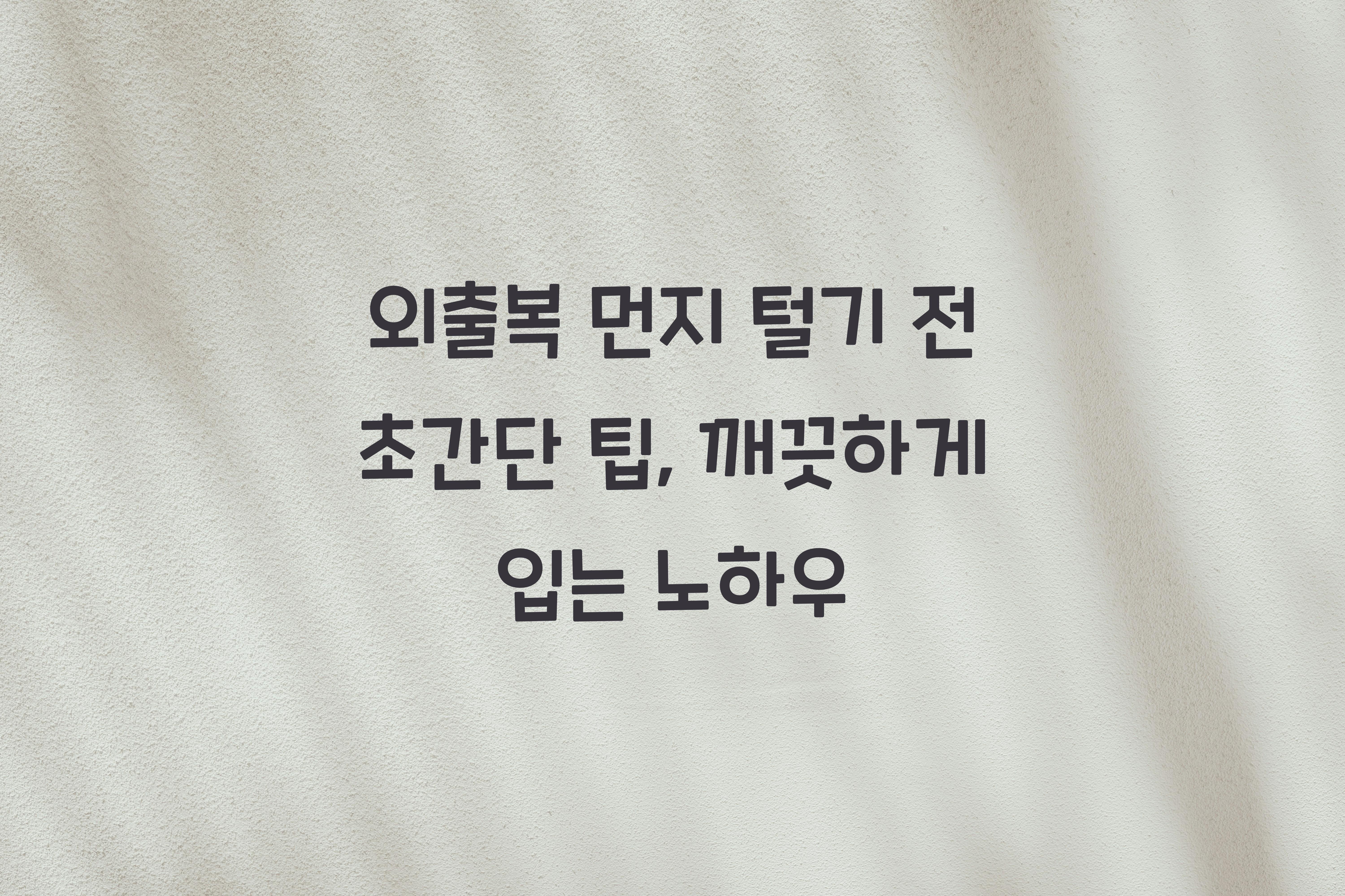 외출복 먼지 털기 전 초간단 팁