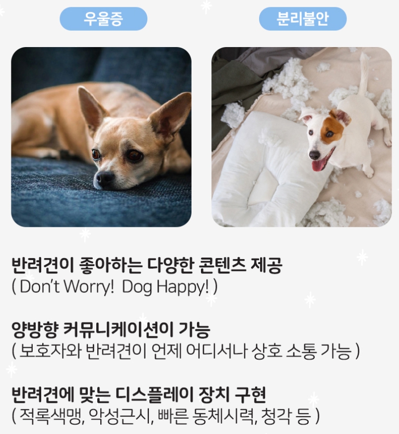강아지-TV