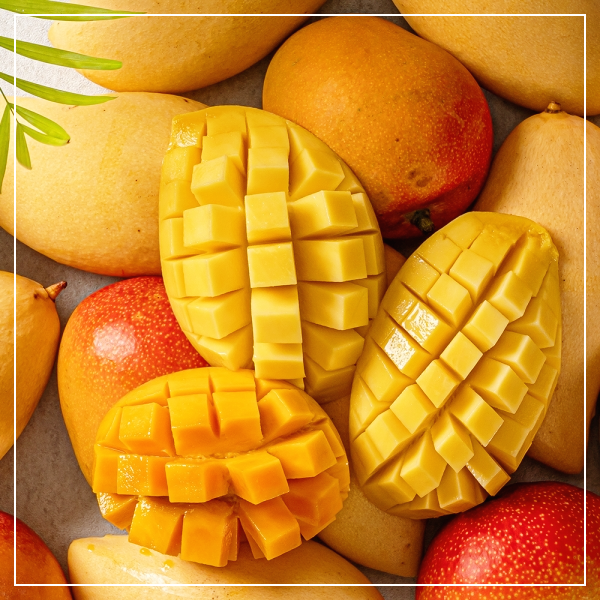 망고-효능