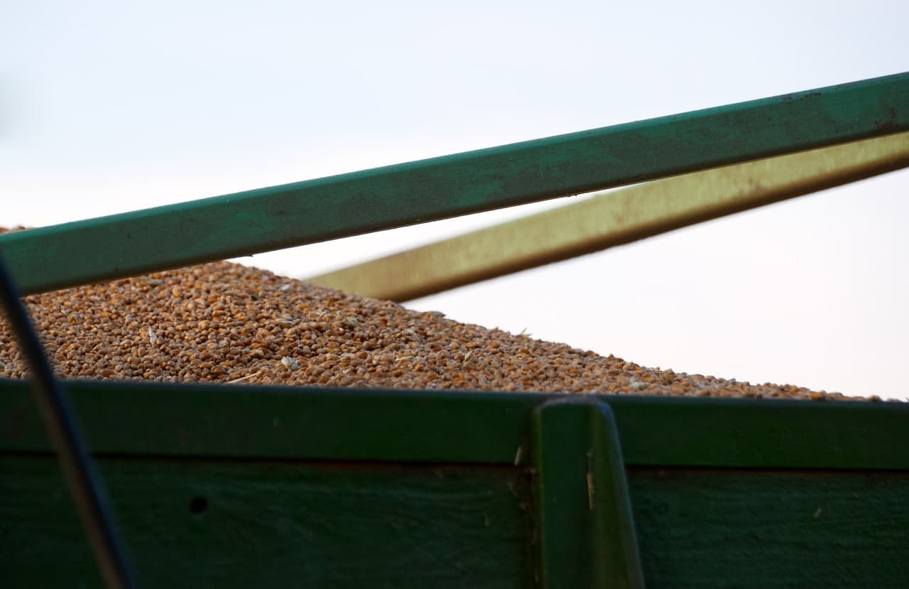 세계에서 가장 큰 식물 공장들: 성공 스토리와 기술