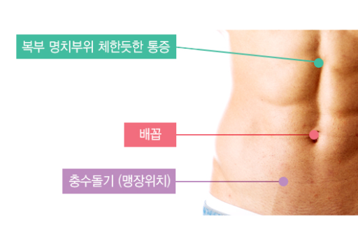 맹장염 초기증상 설사 허리통증 변비 명치통증 위치 몸살