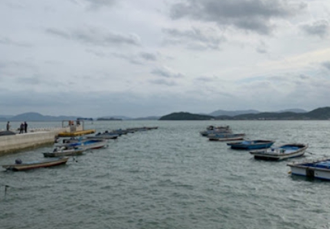 정부 지원 혜택