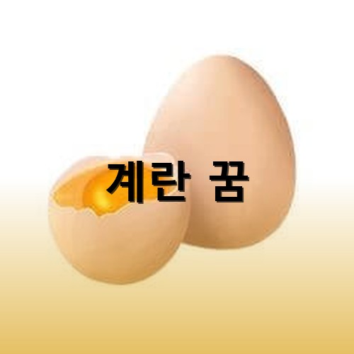 온전한-계란과-반쪽을-쪼개-노른자가-보이는-계란-두개가-나란히-서있는-모습